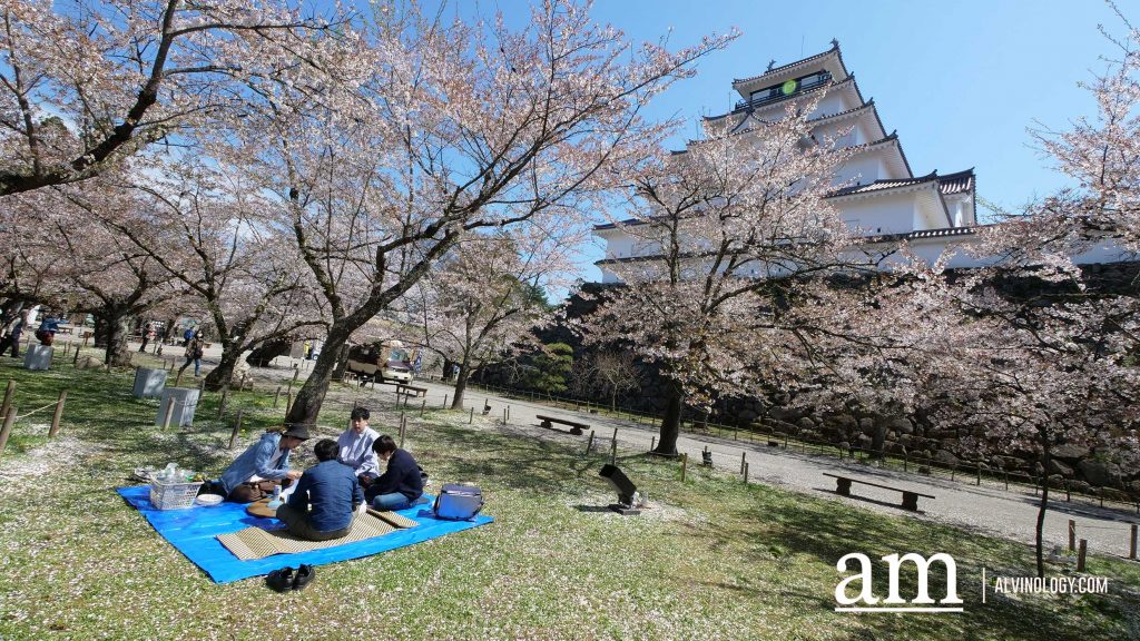 Tohoku, Japan: A Checklist of Hidden Gems to Visit During Cherry Blossom Season Tohoku, Japan: A Checklist of Hidden Gems to Visit During Cherry Blossom Season - Alvinology