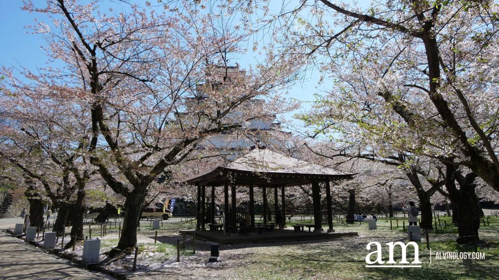 Tohoku, Japan: A Checklist of Hidden Gems to Visit During Cherry Blossom Season Tohoku, Japan: A Checklist of Hidden Gems to Visit During Cherry Blossom Season - Alvinology