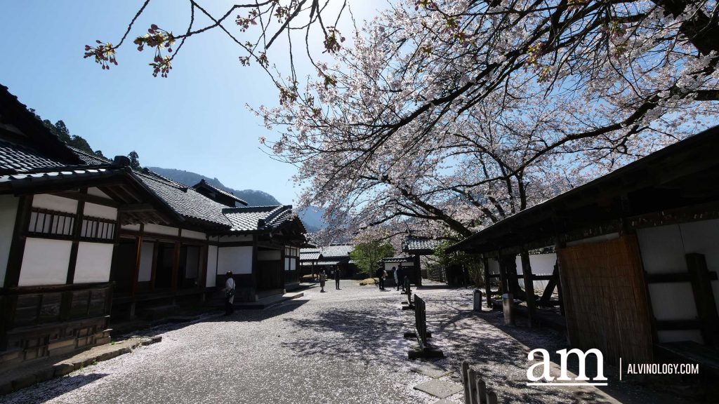 Tohoku, Japan: A Checklist of Hidden Gems to Visit During Cherry Blossom Season Tohoku, Japan: A Checklist of Hidden Gems to Visit During Cherry Blossom Season - Alvinology