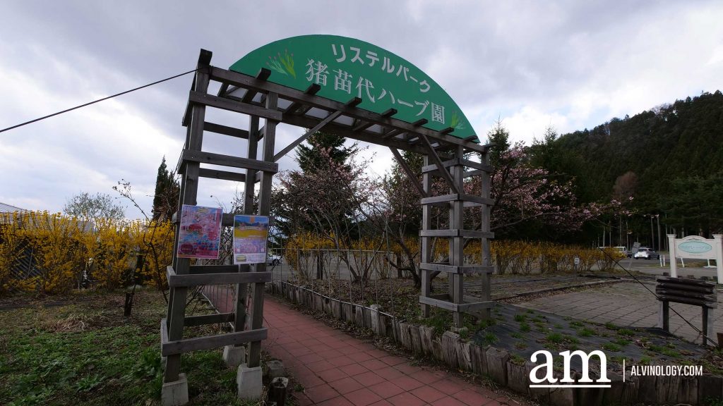 Tohoku, Japan: A Checklist of Hidden Gems to Visit During Cherry Blossom Season Tohoku, Japan: A Checklist of Hidden Gems to Visit During Cherry Blossom Season - Alvinology