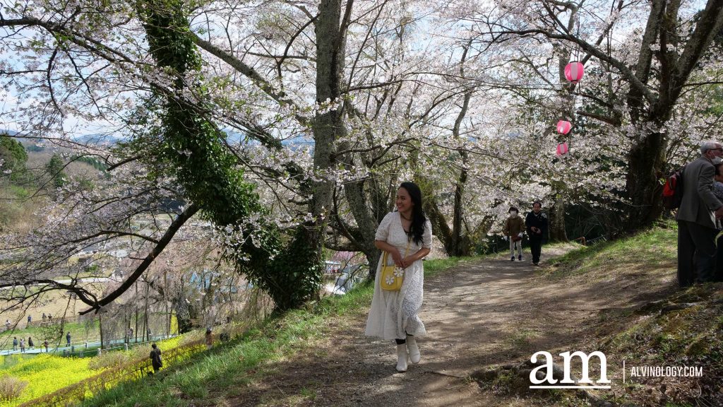 Tohoku, Japan: A Checklist of Hidden Gems to Visit During Cherry Blossom Season Tohoku, Japan: A Checklist of Hidden Gems to Visit During Cherry Blossom Season - Alvinology