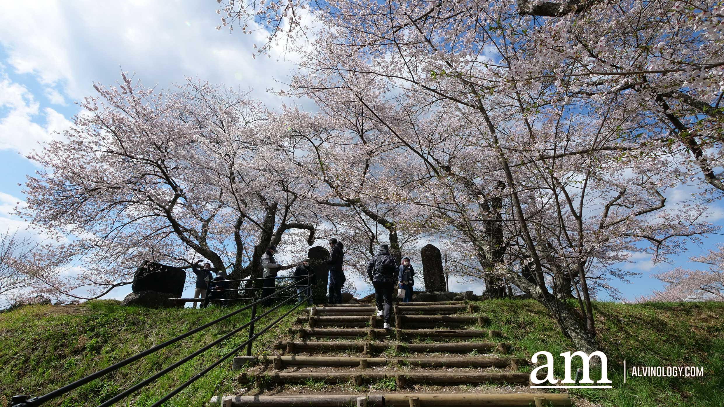 Tohoku, Japan: A Checklist of Hidden Gems to Visit During Cherry Blossom Season Tohoku, Japan: A Checklist of Hidden Gems to Visit During Cherry Blossom Season - Alvinology