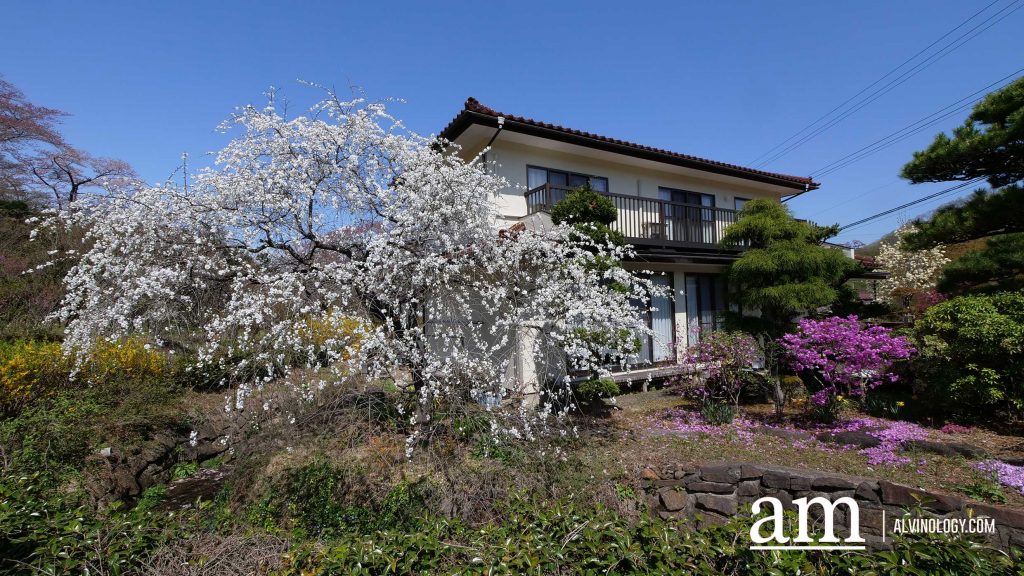Tohoku, Japan: A Checklist of Hidden Gems to Visit During Cherry Blossom Season Tohoku, Japan: A Checklist of Hidden Gems to Visit During Cherry Blossom Season - Alvinology