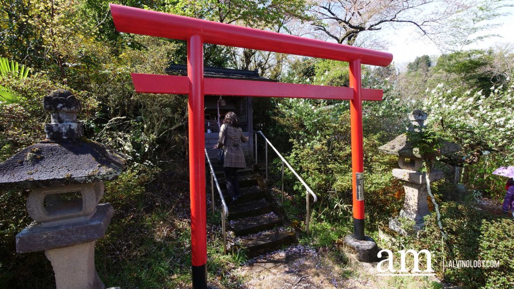 Tohoku, Japan: A Checklist of Hidden Gems to Visit During Cherry Blossom Season Tohoku, Japan: A Checklist of Hidden Gems to Visit During Cherry Blossom Season - Alvinology