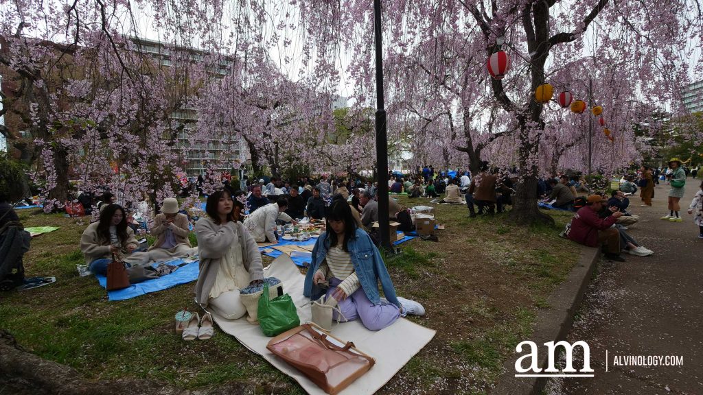Tohoku, Japan: A Checklist of Hidden Gems to Visit During Cherry Blossom Season Tohoku, Japan: A Checklist of Hidden Gems to Visit During Cherry Blossom Season - Alvinology