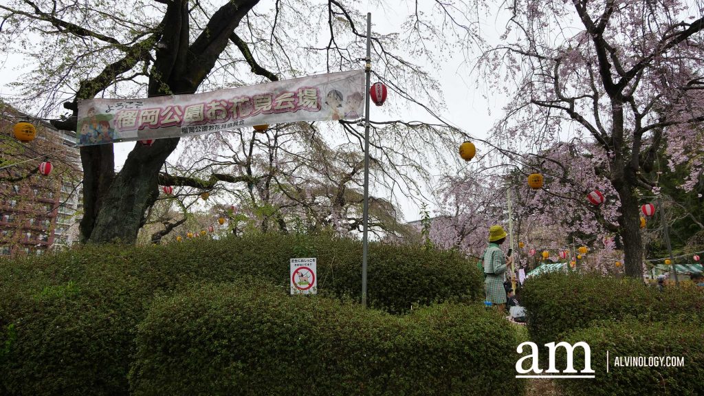Tohoku, Japan: A Checklist of Hidden Gems to Visit During Cherry Blossom Season Tohoku, Japan: A Checklist of Hidden Gems to Visit During Cherry Blossom Season - Alvinology