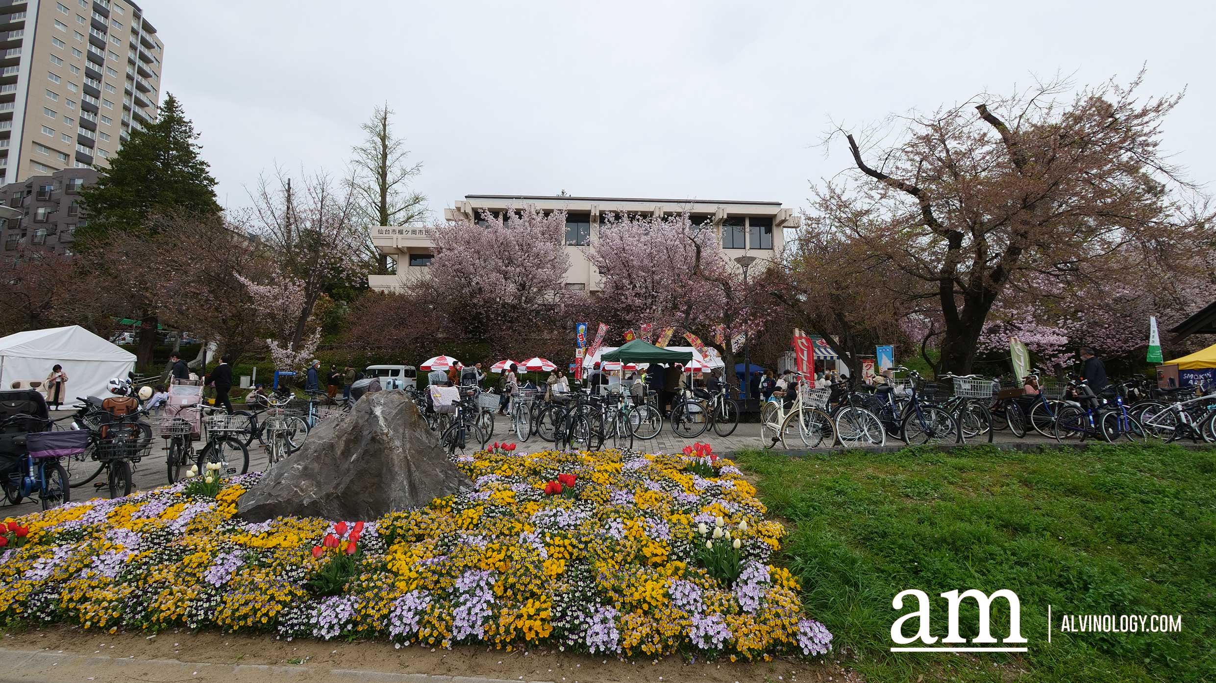 Tohoku, Japan: A Checklist of Hidden Gems to Visit During Cherry Blossom Season Tohoku, Japan: A Checklist of Hidden Gems to Visit During Cherry Blossom Season - Alvinology