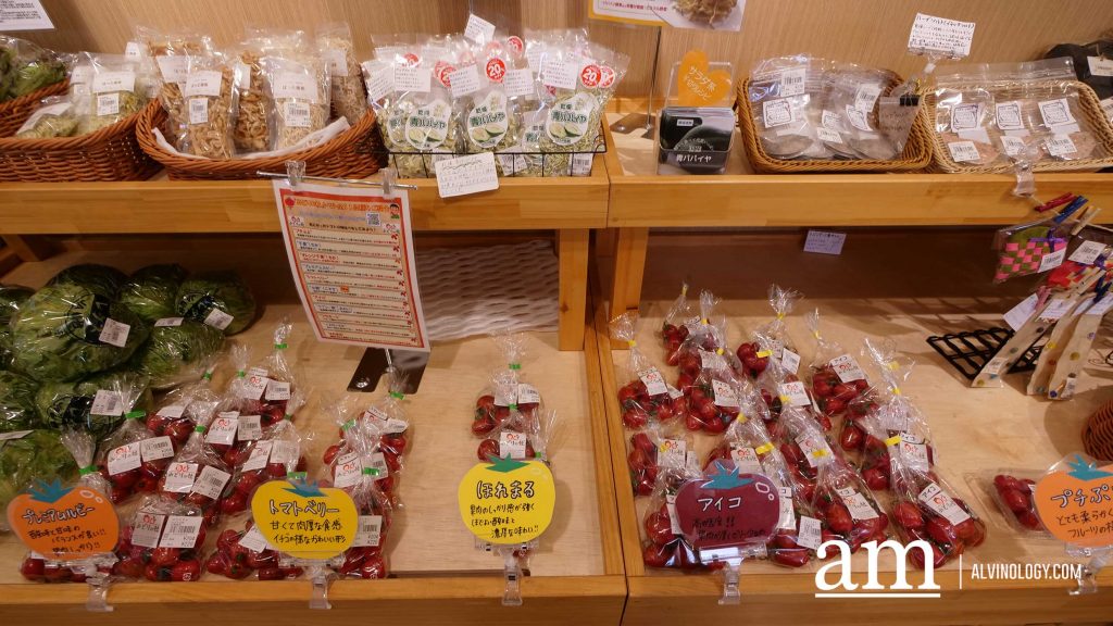 Tohoku, Japan: A Checklist of Hidden Gems to Visit During Cherry Blossom Season Tohoku, Japan: A Checklist of Hidden Gems to Visit During Cherry Blossom Season - Alvinology