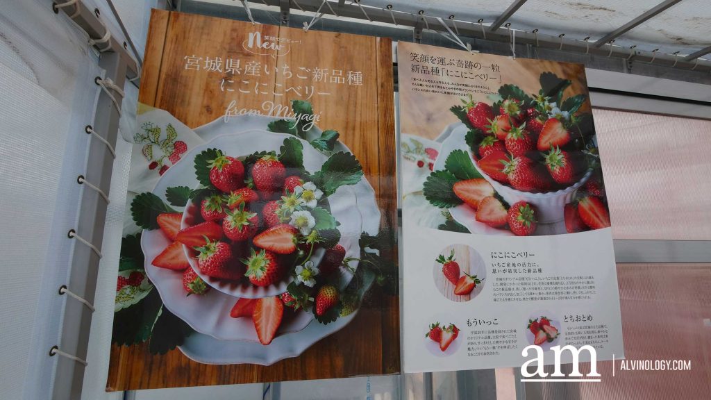 Tohoku, Japan: A Checklist of Hidden Gems to Visit During Cherry Blossom Season Tohoku, Japan: A Checklist of Hidden Gems to Visit During Cherry Blossom Season - Alvinology