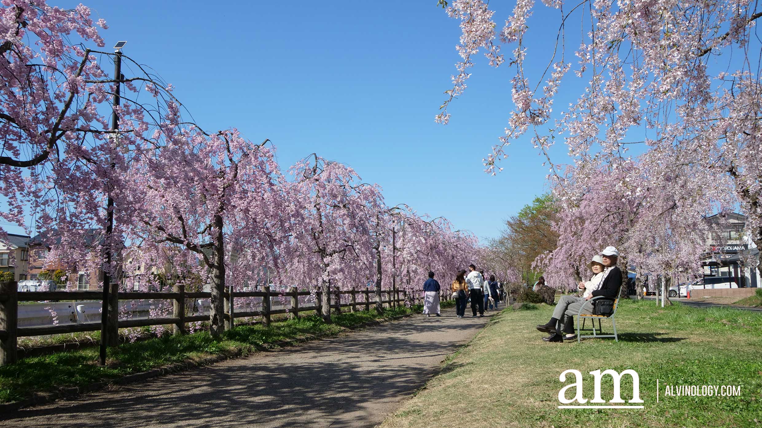 Tohoku, Japan: A Checklist of Hidden Gems to Visit During Cherry Blossom Season Tohoku, Japan: A Checklist of Hidden Gems to Visit During Cherry Blossom Season - Alvinology