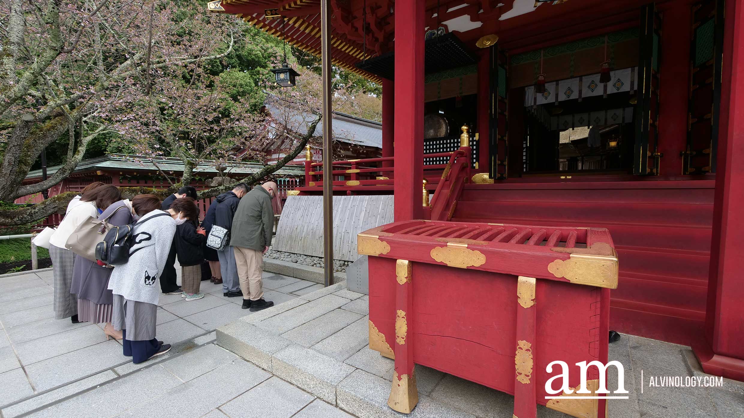 Tohoku, Japan: A Checklist of Hidden Gems to Visit During Cherry Blossom Season Tohoku, Japan: A Checklist of Hidden Gems to Visit During Cherry Blossom Season - Alvinology