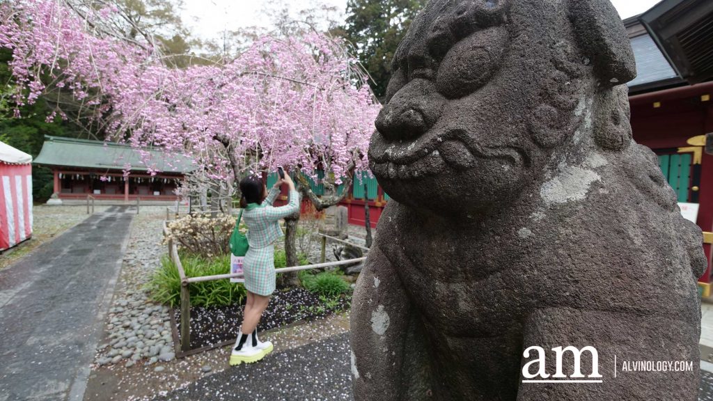 Tohoku, Japan: A Checklist of Hidden Gems to Visit During Cherry Blossom Season Tohoku, Japan: A Checklist of Hidden Gems to Visit During Cherry Blossom Season - Alvinology