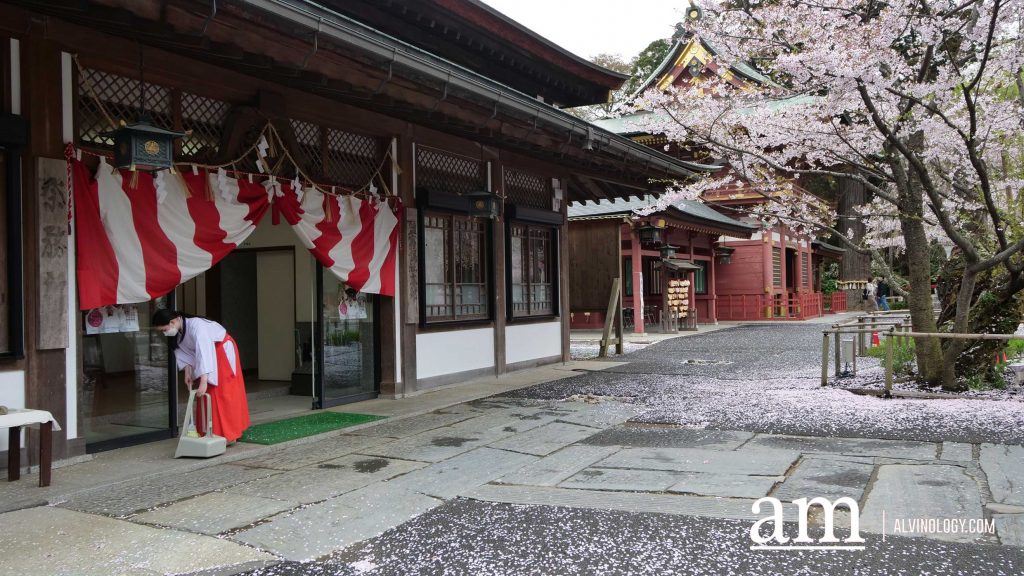Tohoku, Japan: A Checklist of Hidden Gems to Visit During Cherry Blossom Season Tohoku, Japan: A Checklist of Hidden Gems to Visit During Cherry Blossom Season - Alvinology