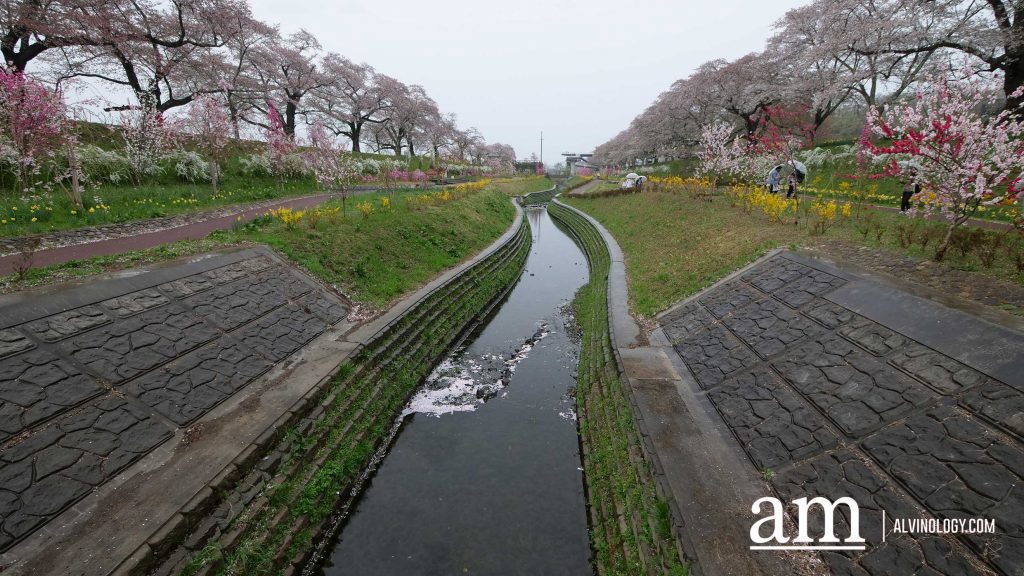 Tohoku, Japan: A Checklist of Hidden Gems to Visit During Cherry Blossom Season Tohoku, Japan: A Checklist of Hidden Gems to Visit During Cherry Blossom Season - Alvinology