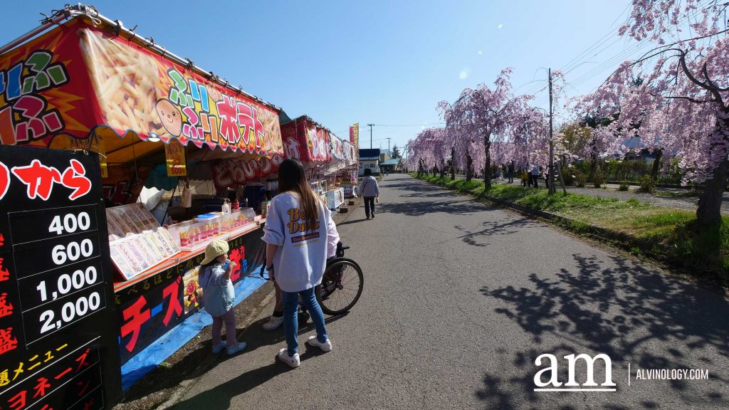 Tohoku, Japan: A Checklist of Hidden Gems to Visit During Cherry Blossom Season Tohoku, Japan: A Checklist of Hidden Gems to Visit During Cherry Blossom Season - Alvinology