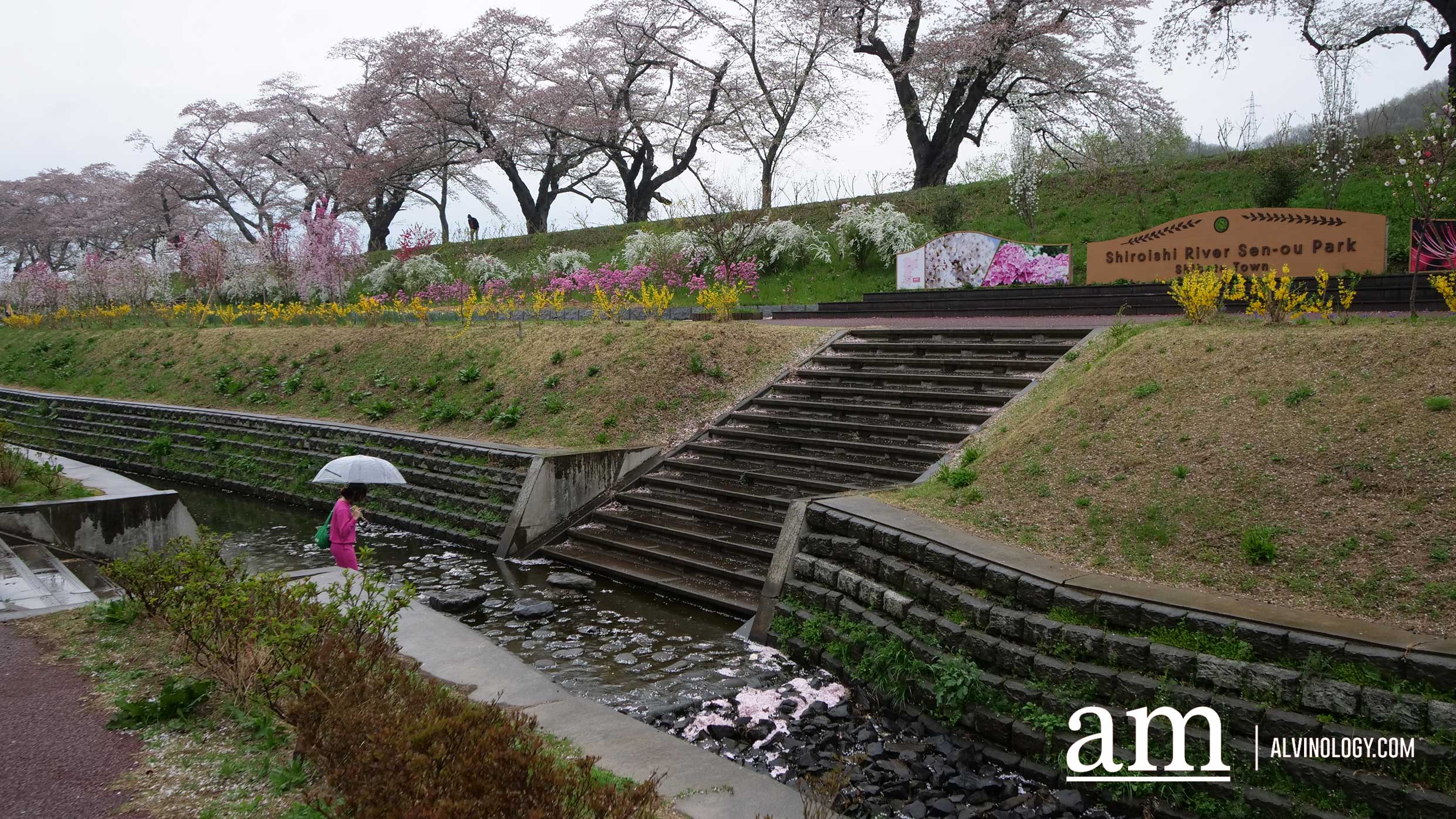 Tohoku, Japan: A Checklist of Hidden Gems to Visit During Cherry Blossom Season Tohoku, Japan: A Checklist of Hidden Gems to Visit During Cherry Blossom Season - Alvinology