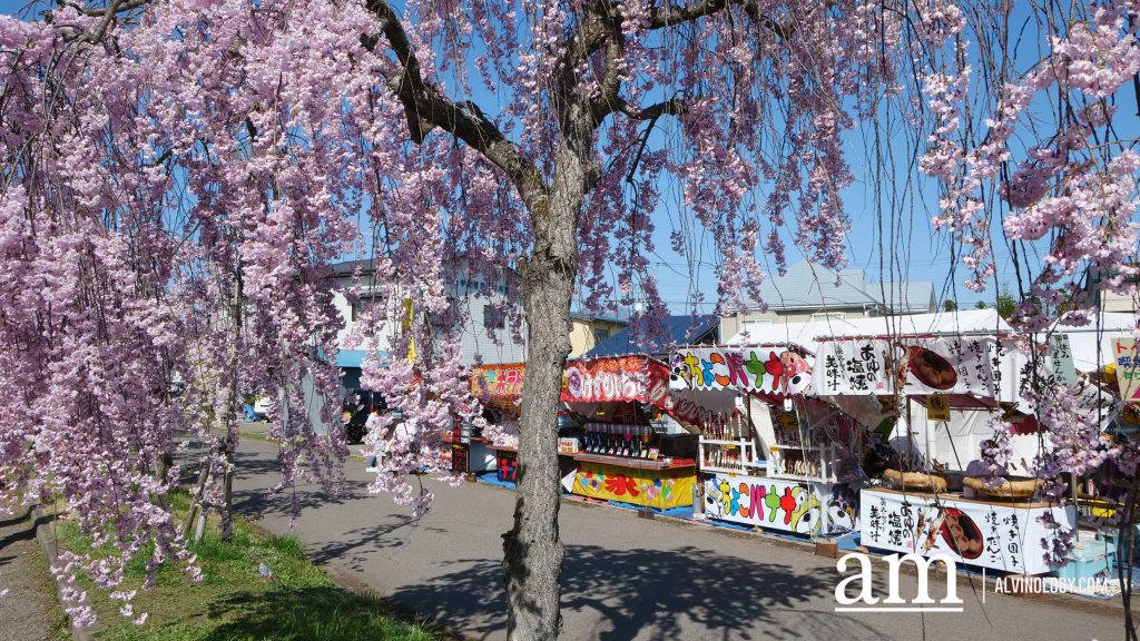 Tohoku, Japan: A Checklist of Hidden Gems to Visit During Cherry Blossom Season Tohoku, Japan: A Checklist of Hidden Gems to Visit During Cherry Blossom Season - Alvinology