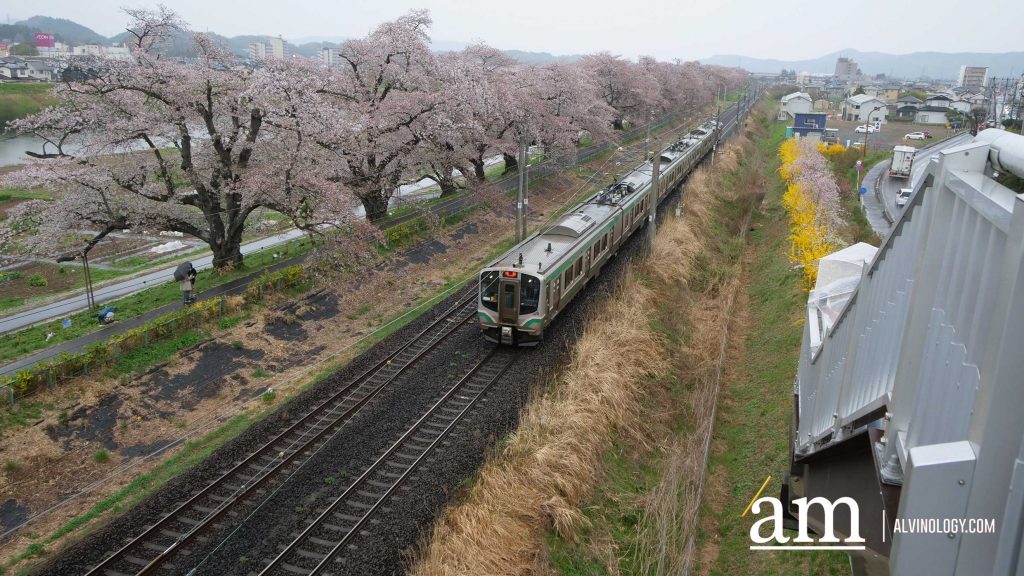 Tohoku, Japan: A Checklist of Hidden Gems to Visit During Cherry Blossom Season Tohoku, Japan: A Checklist of Hidden Gems to Visit During Cherry Blossom Season - Alvinology