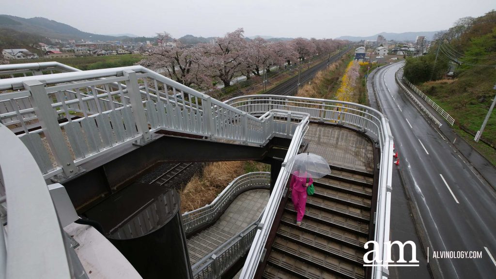 Tohoku, Japan: A Checklist of Hidden Gems to Visit During Cherry Blossom Season Tohoku, Japan: A Checklist of Hidden Gems to Visit During Cherry Blossom Season - Alvinology