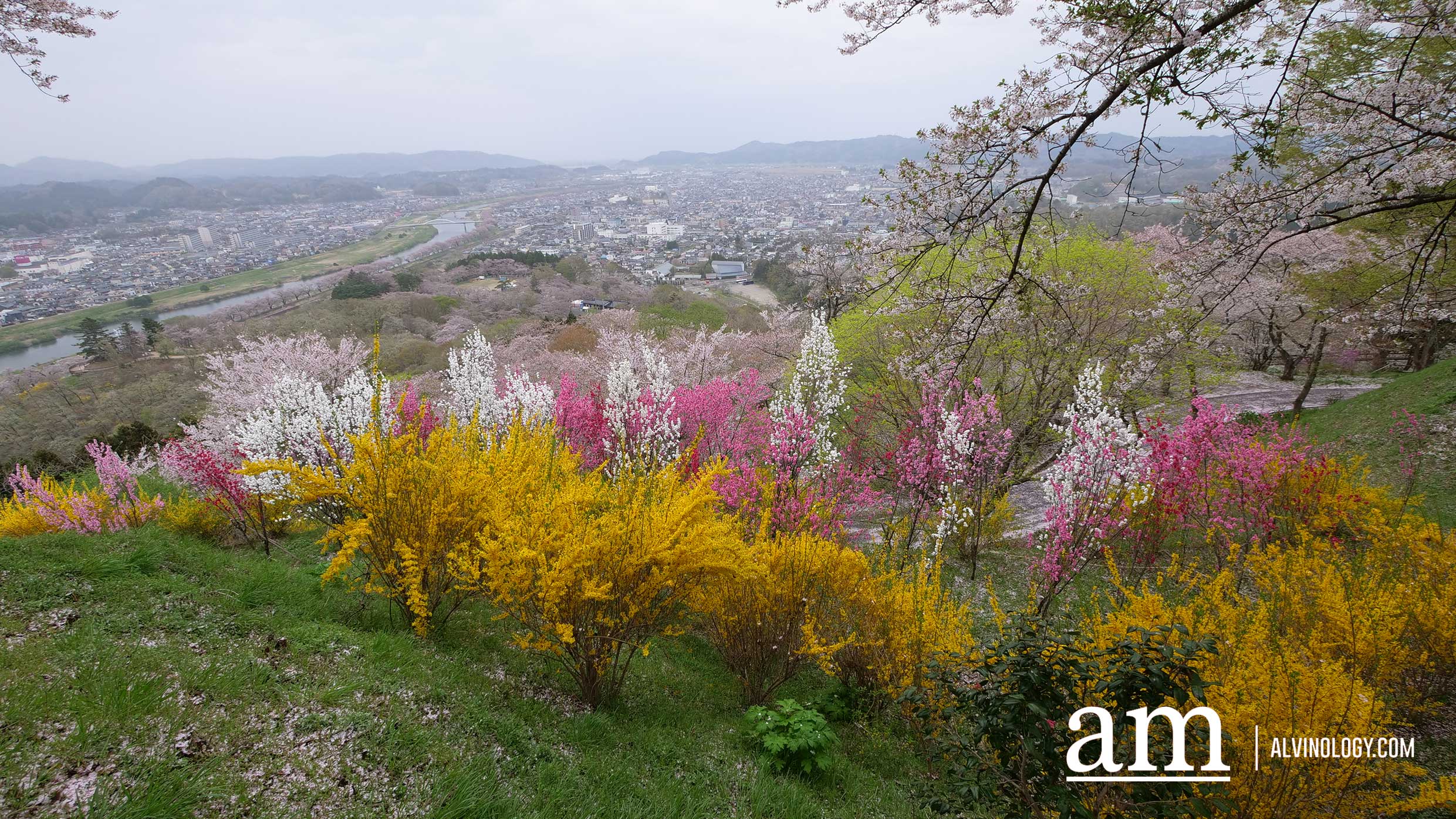 Tohoku, Japan: A Checklist of Hidden Gems to Visit During Cherry Blossom Season Tohoku, Japan: A Checklist of Hidden Gems to Visit During Cherry Blossom Season - Alvinology