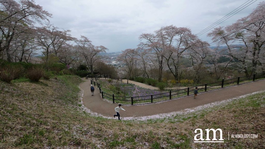 Tohoku, Japan: A Checklist of Hidden Gems to Visit During Cherry Blossom Season Tohoku, Japan: A Checklist of Hidden Gems to Visit During Cherry Blossom Season - Alvinology