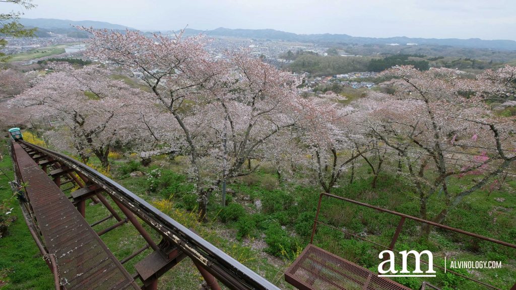 Tohoku, Japan: A Checklist of Hidden Gems to Visit During Cherry Blossom Season Tohoku, Japan: A Checklist of Hidden Gems to Visit During Cherry Blossom Season - Alvinology