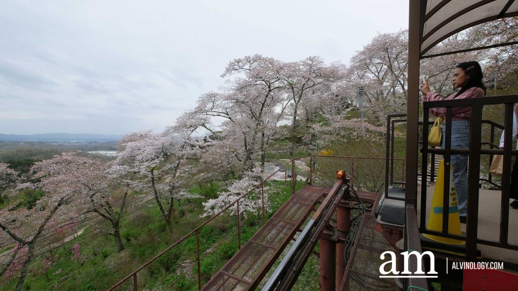 Tohoku, Japan: A Checklist of Hidden Gems to Visit During Cherry Blossom Season Tohoku, Japan: A Checklist of Hidden Gems to Visit During Cherry Blossom Season - Alvinology