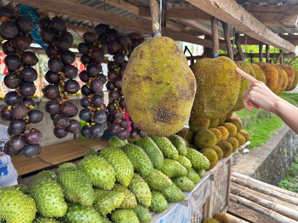 Davao, Philippines: 6 Reasons to Visit this Under-the-Radar and Budget-Friendly Destination! - Alvinology
