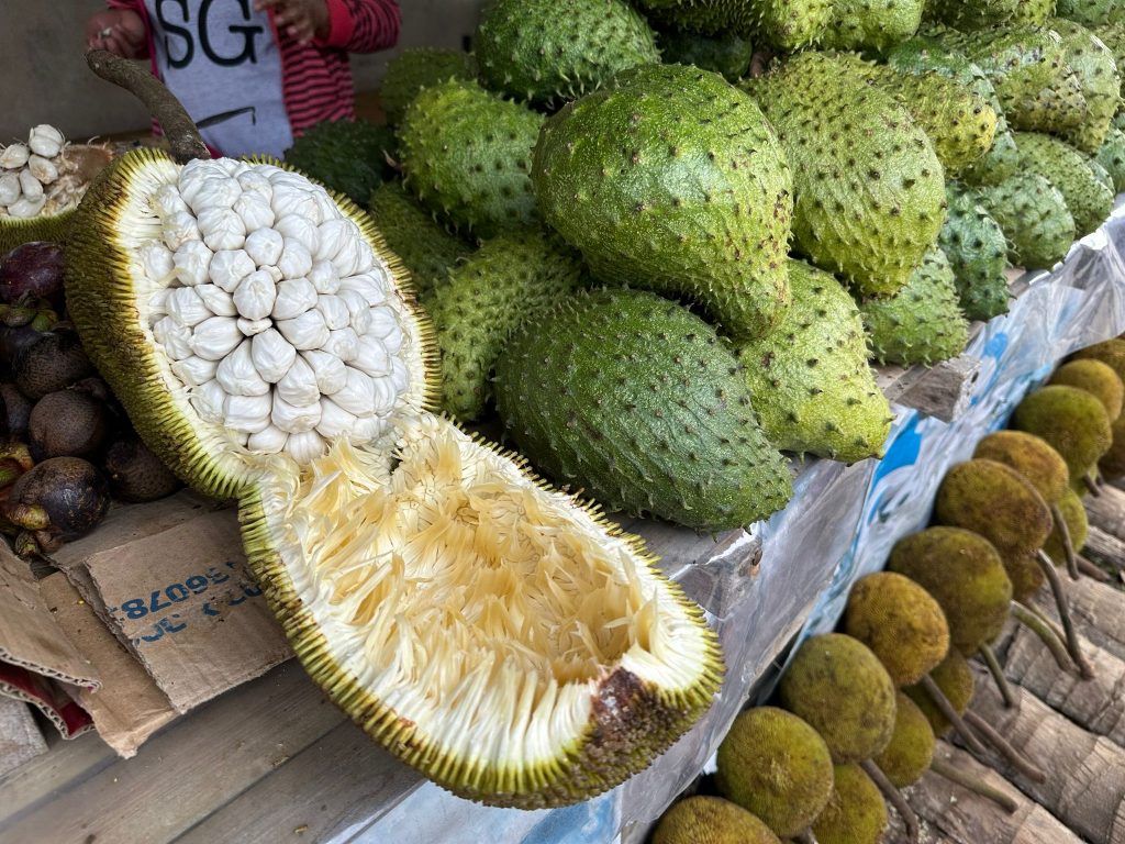 Davao, Philippines: 6 Reasons to Visit this Under-the-Radar and Budget-Friendly Destination! - Alvinology