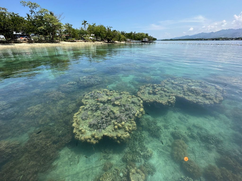 Davao, Philippines: 6 Reasons to Visit this Under-the-Radar and Budget-Friendly Destination! - Alvinology