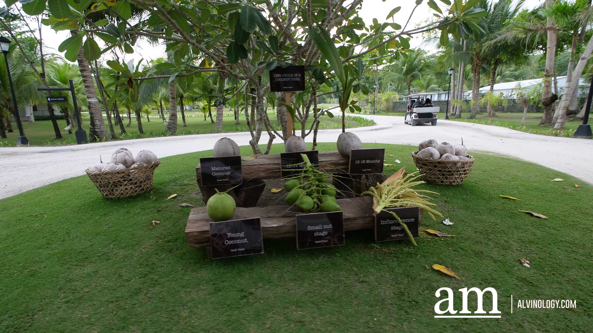Davao, Philippines: 6 Reasons to Visit this Under-the-Radar and Budget-Friendly Destination! - Alvinology