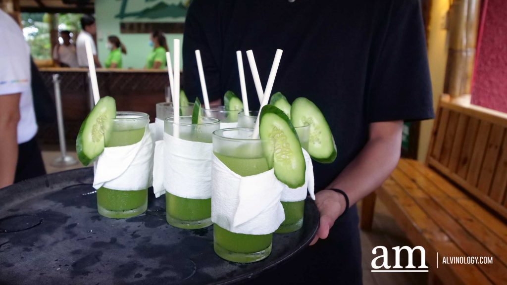 Davao, Philippines: 6 Reasons to Visit this Under-the-Radar and Budget-Friendly Destination! - Alvinology