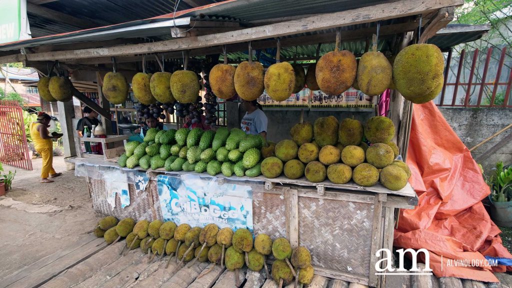 Davao, Philippines: 6 Reasons to Visit this Under-the-Radar and Budget-Friendly Destination! - Alvinology