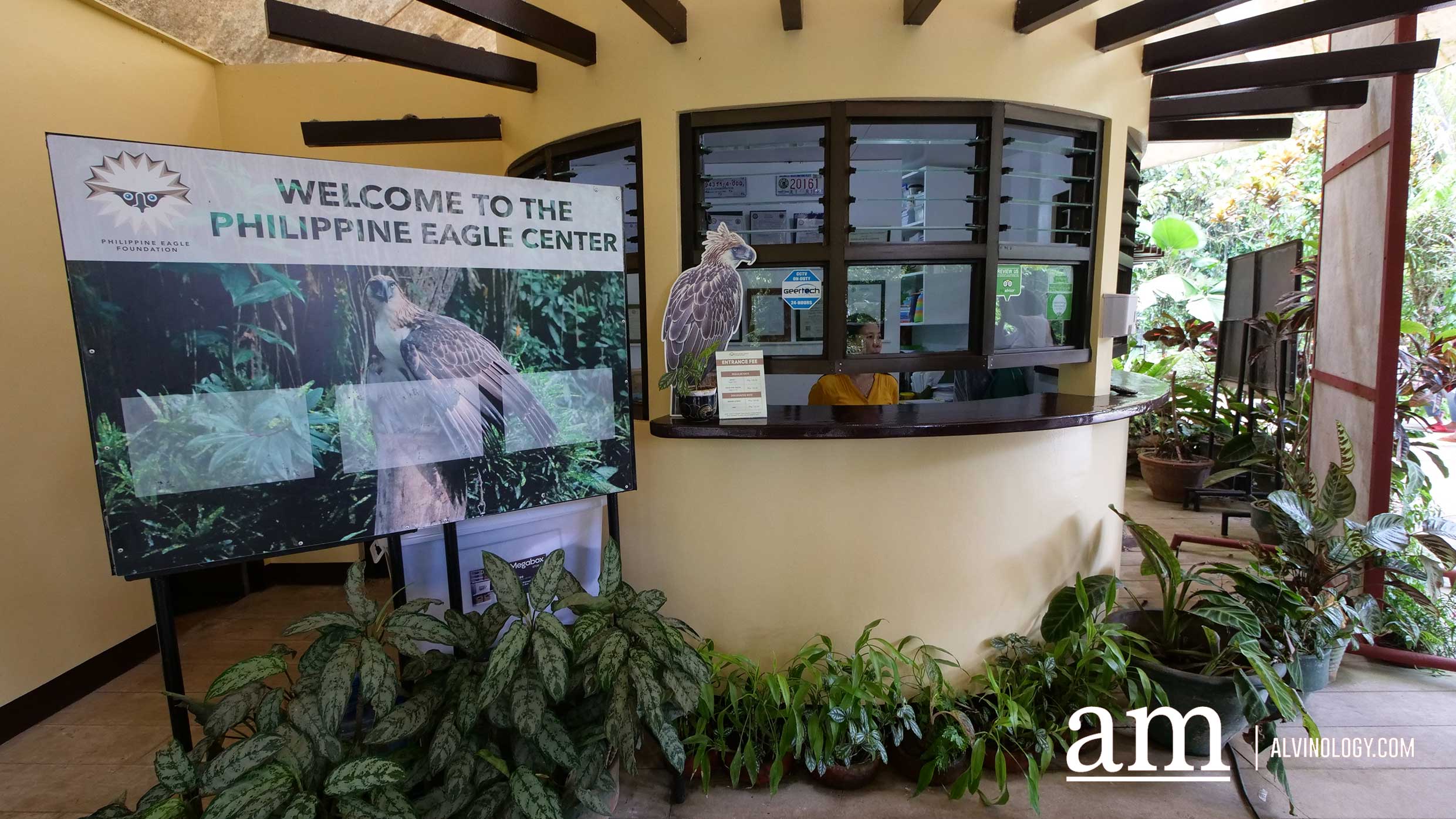 Davao, Philippines: 6 Reasons to Visit this Under-the-Radar and Budget-Friendly Destination! - Alvinology