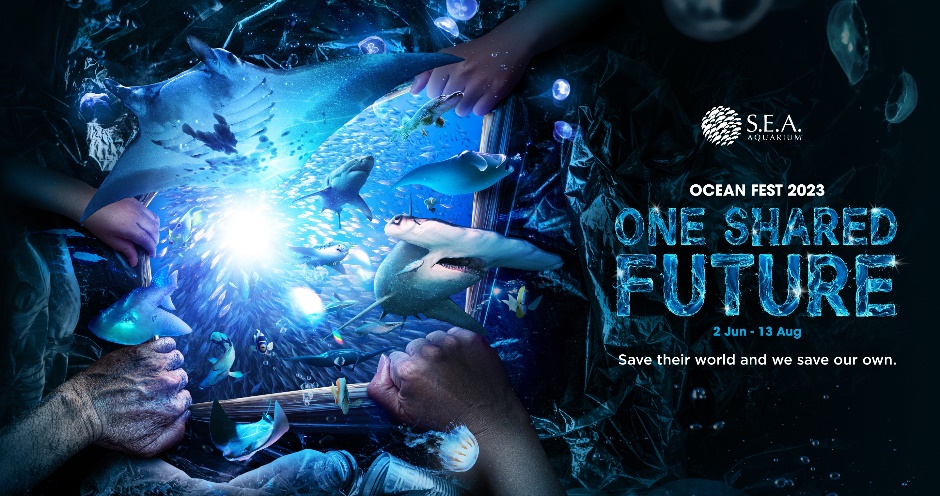 Learn how to protect the world’s oceans at S.E.A. Aquarium’s Ocean Fest 2023: One Shared Future - Alvinology