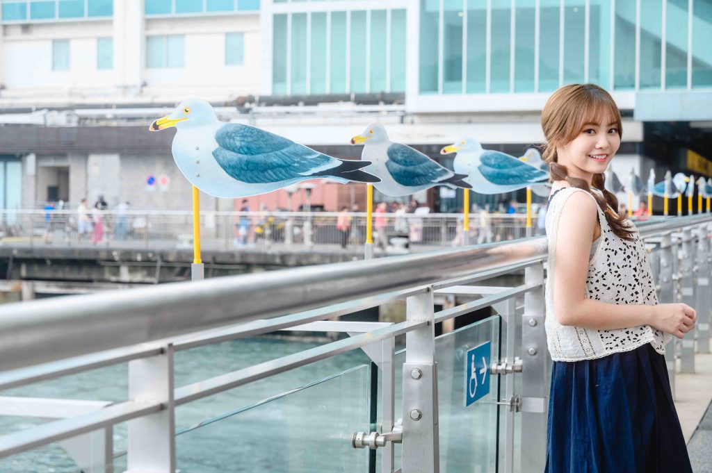 60 Seagulls create a New Instagrammable Check-in Spot of the Iconic Victoria Harbour in Hong Kong - Alvinology
