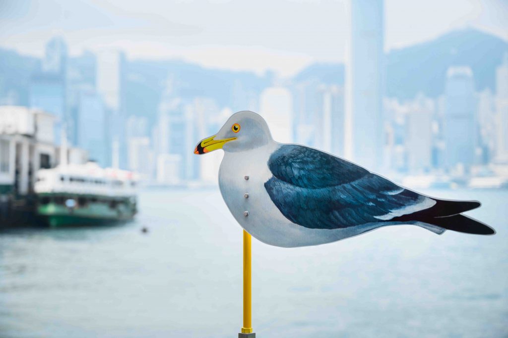 60 Seagulls create a New Instagrammable Check-in Spot of the Iconic Victoria Harbour in Hong Kong - Alvinology