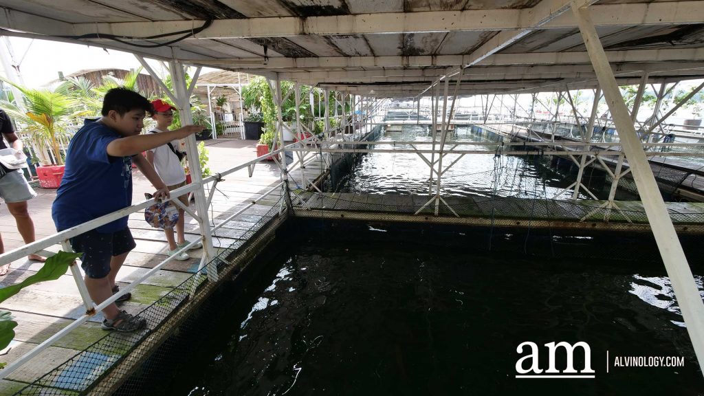 [Review] Exploring Singapore on the Sea with Get Hooked SG's Private Boat Tour - Alvinology