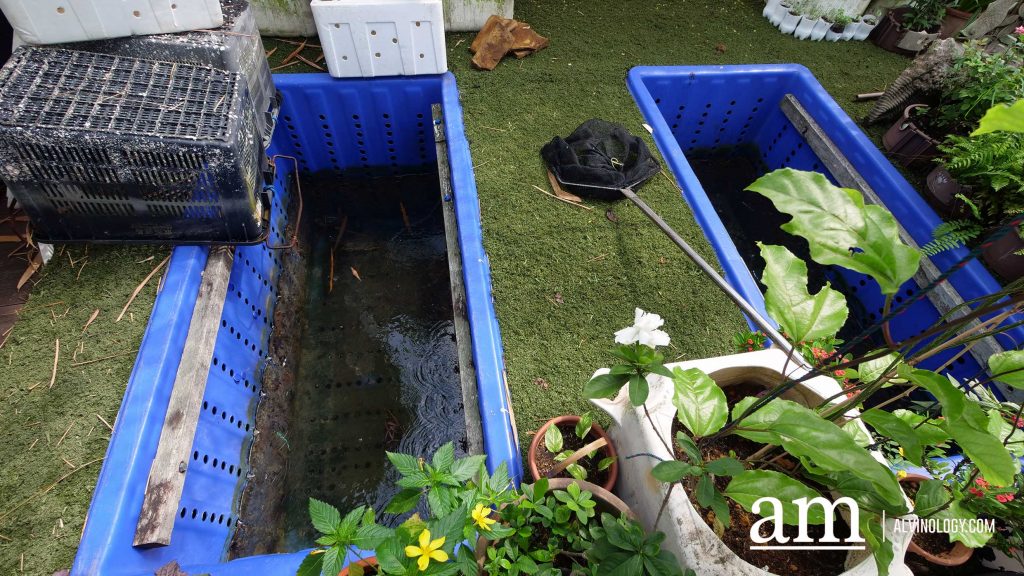 [Review] Exploring Singapore on the Sea with Get Hooked SG's Private Boat Tour - Alvinology