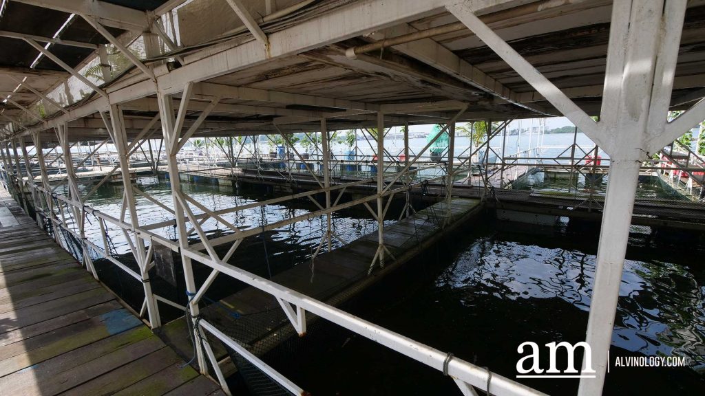 [Review] Exploring Singapore on the Sea with Get Hooked SG's Private Boat Tour - Alvinology