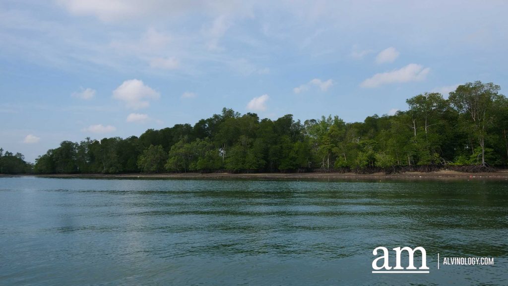 [Review] Exploring Singapore on the Sea with Get Hooked SG's Private Boat Tour - Alvinology