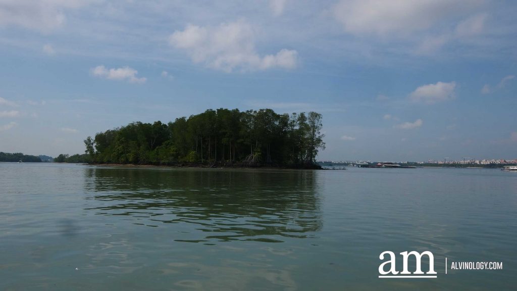 [Review] Exploring Singapore on the Sea with Get Hooked SG's Private Boat Tour - Alvinology