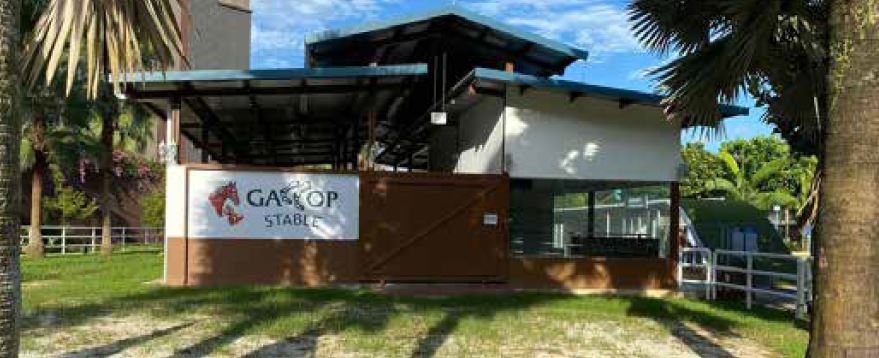 Step into the universe of horses at the Gallop Stable @ Downtown East offering joyrides and stable tours Step into the universe of horses at the Gallop Stable @ Downtown East offering joyrides and stable tours - Alvinology