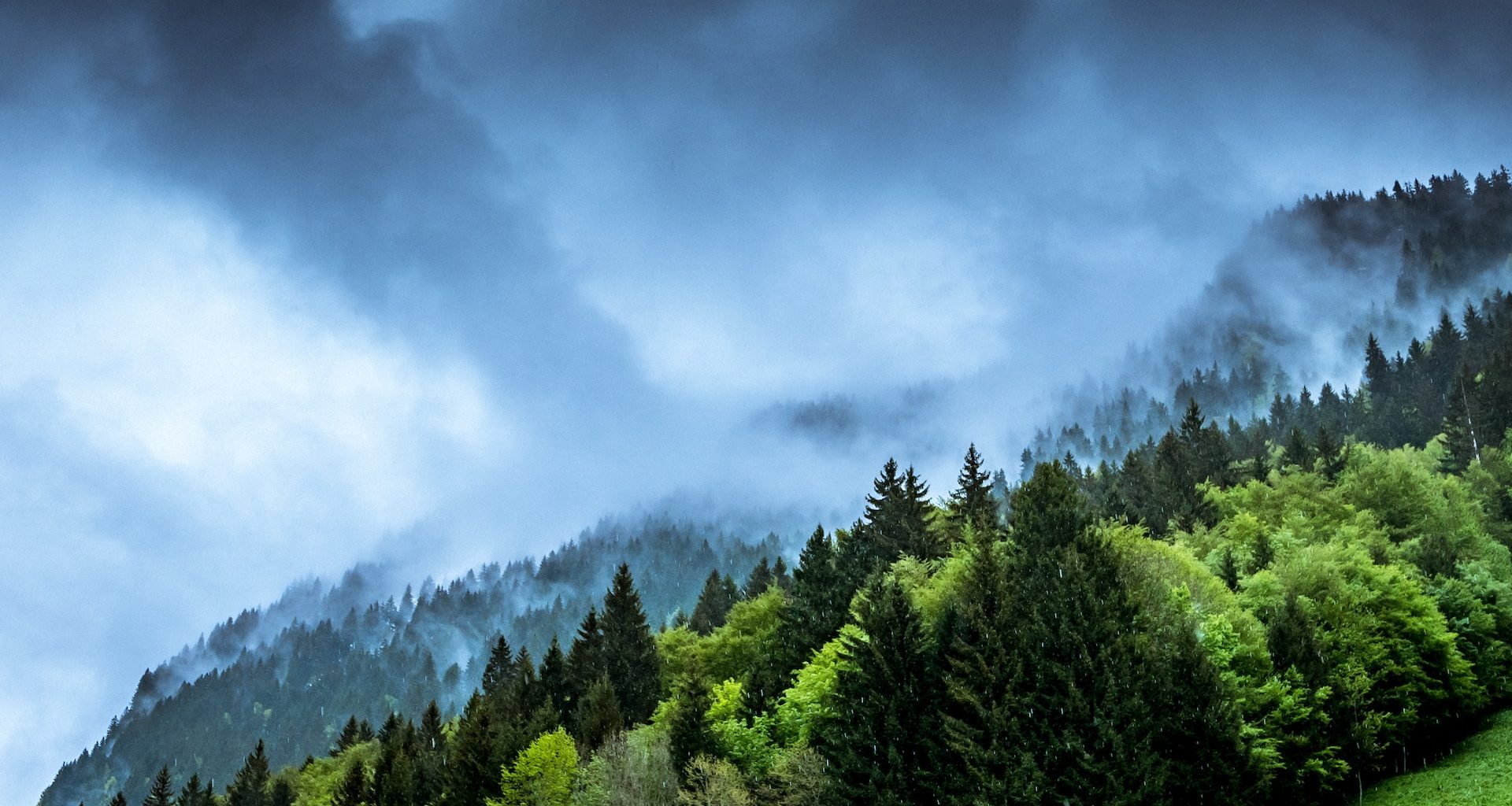 Why Climate-Controlled Storage Units are Essential for Preserving Valuable Items - Alvinology