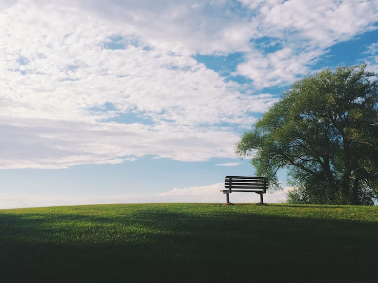 Understanding Traditional Funeral Ceremonies: A Guide to Paying Respect - Alvinology