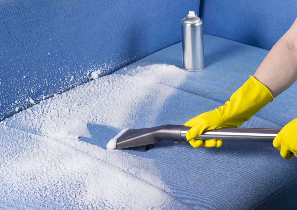 The Importance of Regular Professional Cleaning - Alvinology