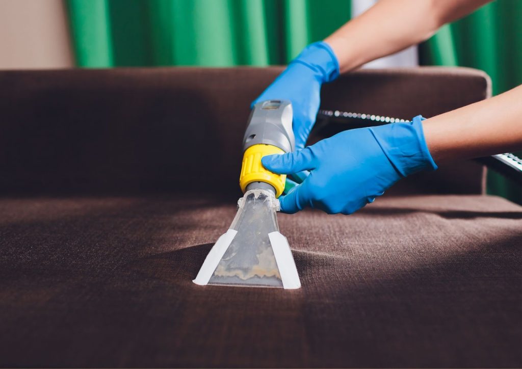 The Importance of Regular Professional Cleaning - Alvinology