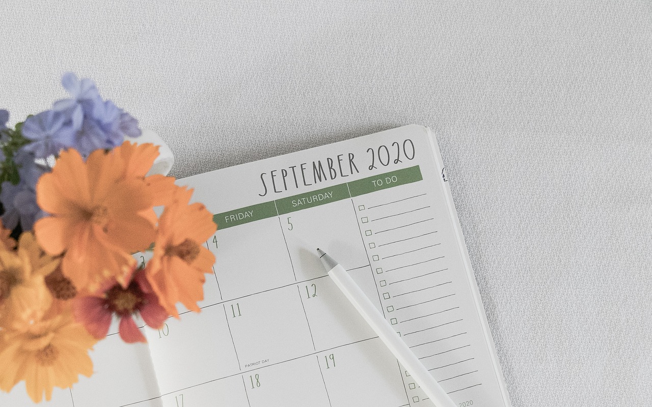 Incorporating Daily Stretching Into Your Wellness Routine - Alvinology
