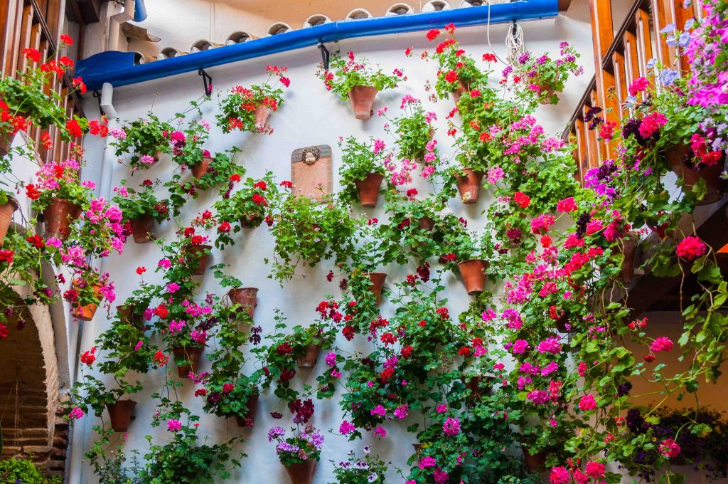 Embark on a Halal Adventure Through Andalusia: Spain's Newest Travel Guide for Muslim Travelers - Alvinology