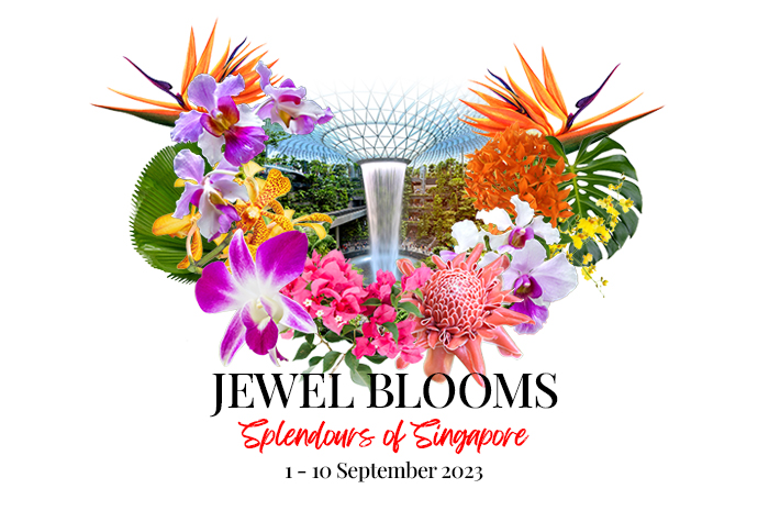 Immerse Yourself in the Blossoming Magic of Jewel Blooms – Splendours of Singapore! - Alvinology